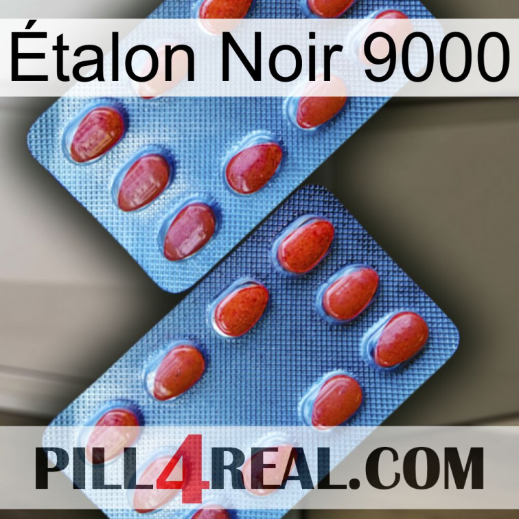 Étalon Noir 9000 05